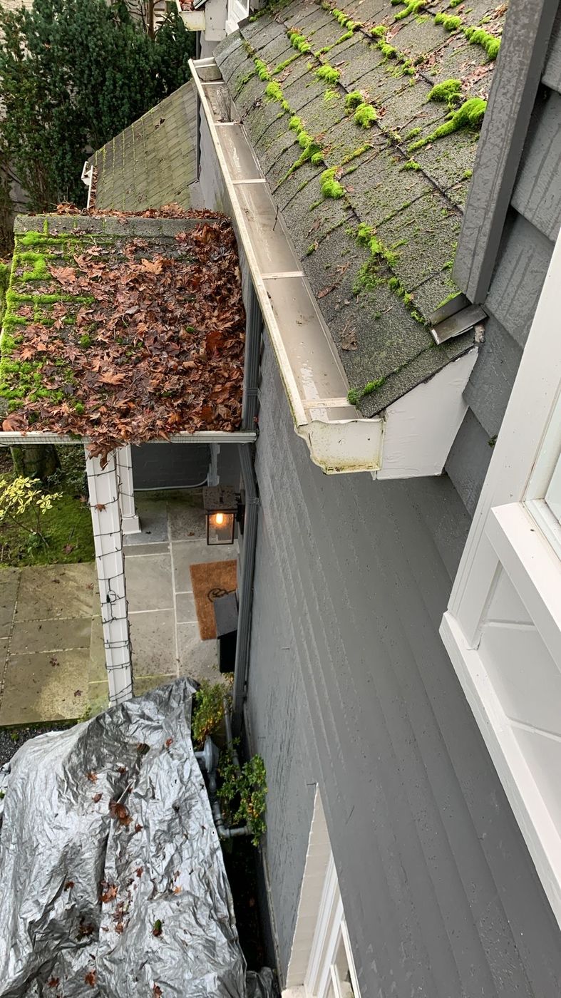 Gutter cleaning along a mossy roof edge